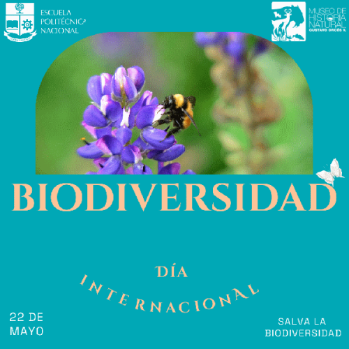 Día Internacional de la Biodiversidad