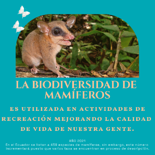 Día Internacional de la Biodiversidad