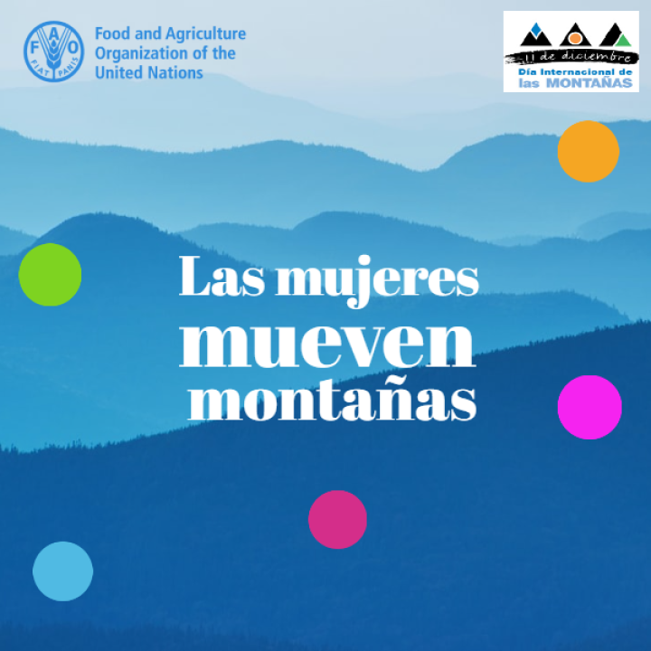 Día Internacional de Las Montañass 2